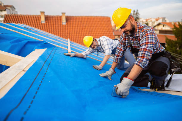 Gutter Installation and Roofing in Sparta, IL